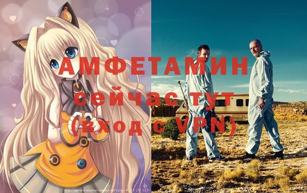 МДПВ Абаза