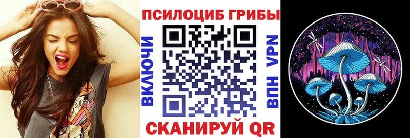 Галлюциногенные грибы мухоморы  где найти наркотики  Алапаевск 